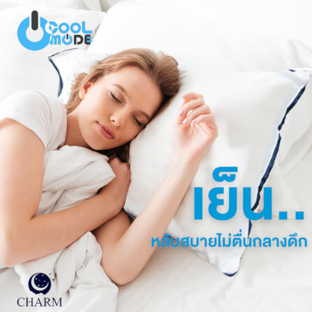 หมอนสุขภาพ CHARM HYPNOSIS ไมโครเจล 700 กรัม ขนาด 19